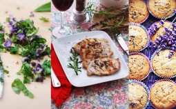 Lavendel-Rezepte