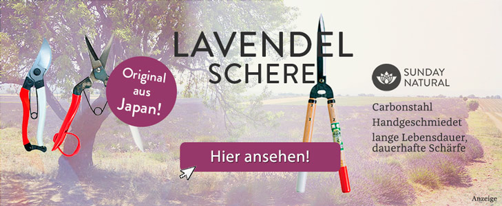 Lavendel Pflegetipps | Dr. Schweikart