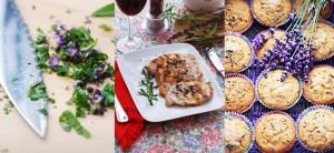 Lavendel-Rezepte