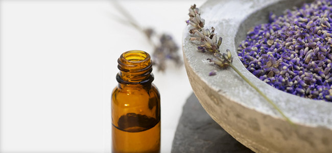 Lavendel-Wirkung