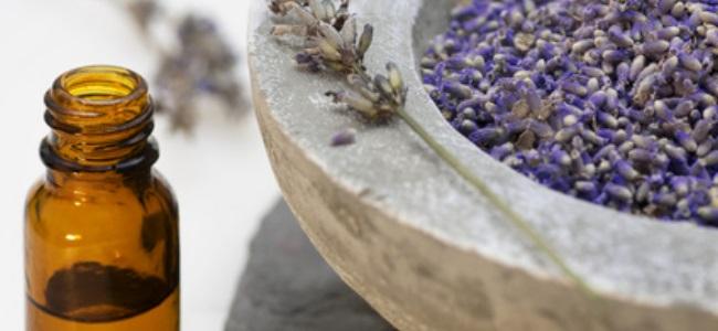 lavendel-Medizin